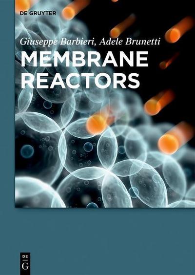 Membrane Reactors