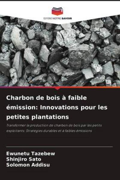 Charbon de bois à faible émission: Innovations pour les petites plantations