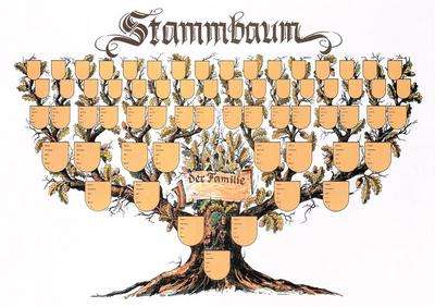 Stammbaum Schmuckbild