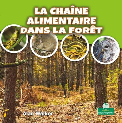 La Chaîne Alimentaire Dans La Forêt (Food Chain in a Forest)