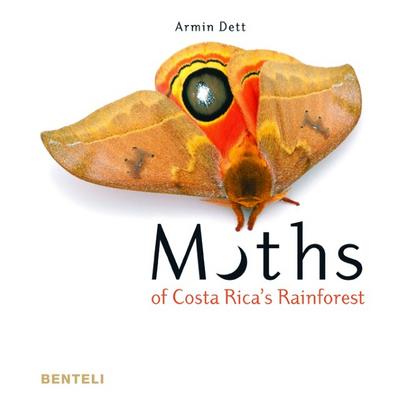 Moths of Costa Rica’s Rainforest