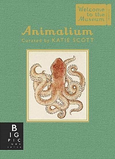Animalium (Mini Gift Edition)