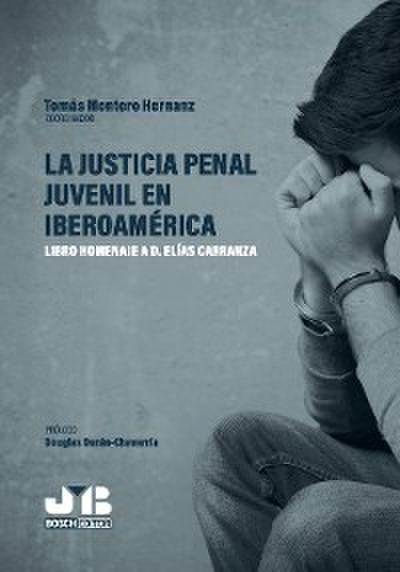 La justicia penal juvenil en Iberoamérica