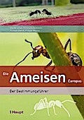 Die Ameisen Europas