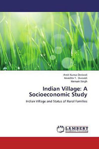 Indian Village: A Socioeconomic Study
