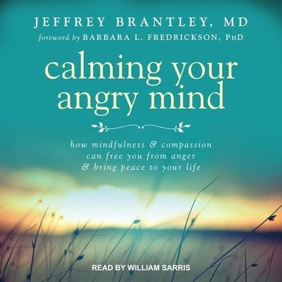 Calming Your Angry Mind Lib/E: How Mindfulness and Compassion Can Free You from Anger and Bring Peace to Your Life