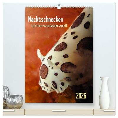 Nacktschnecken - Unterwasserwelt 2026 (hochwertiger Premium Wandkalender 2026 DIN A2 hoch), Kunstdruck in Hochglanz