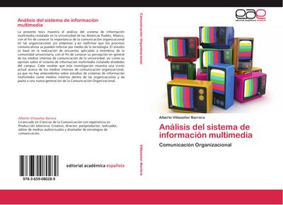 Análisis del sistema de información multimedia
