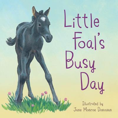 Little Foal’s Busy Day