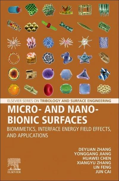 Micro- and Nano-Bionic Surfaces