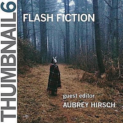 Thumbnail 6: Flash Fiction