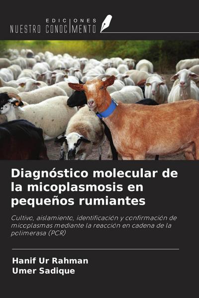 Diagnóstico molecular de la micoplasmosis en pequeños rumiantes
