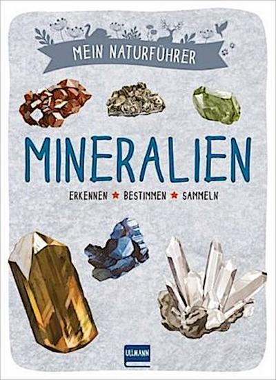 Mein Naturführer Mineralien