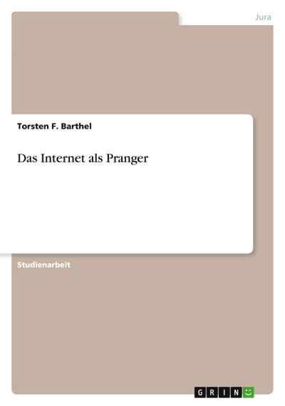 Das Internet als Pranger
