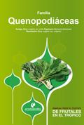 Manual para el cultivo de hortalizas. Familia Quenopodiáceas