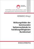 Wirkungsfelder der kommunalen Spitzenverbände im handlungsfähig(er)en Bundesstaat