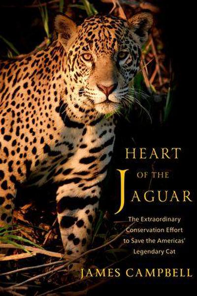 Heart of the Jaguar