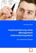Implementierung eines Management Informationssyste