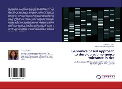 Genomics-based approach to develop submergence tolerance in rice