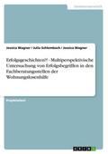 Erfolgsgeschichten?! - Multiperspektivische Unters