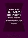 Ein Dichter bei Nacht