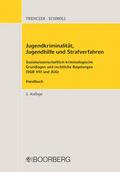 Jugendkriminalität, Jugendhilfe und Strafverfahren von Thomas (Professor Dr. iur. Trenczek | Buch