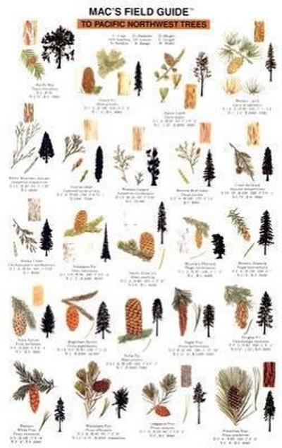 Mac’s Field Guides: Northwest Trees