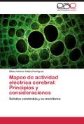 Mapeo de actividad eléctrica cerebral: Principios y consideraciones