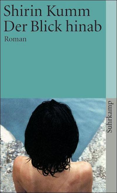 Der Blick hinab: Roman (suhrkamp taschenbuch)