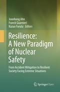 Resilience: A New Paradigm of Nuclear Safety