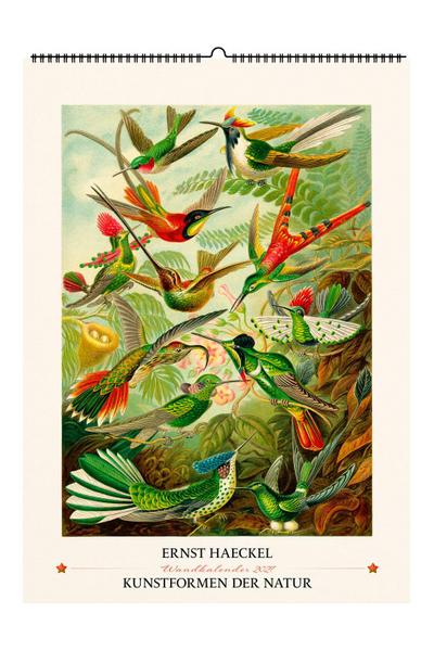 Ernst Haeckel. Kunstformen der Natur. Wandkalender 2027