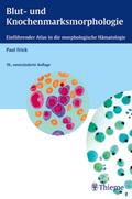 Blut- und Knochenmarksmorphologie