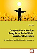 Complex Visual Motion Analysis via Probabilistic V