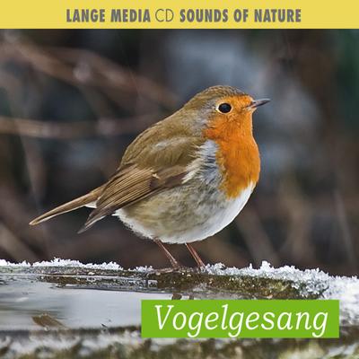 Naturgeräusche - Vogelgesang