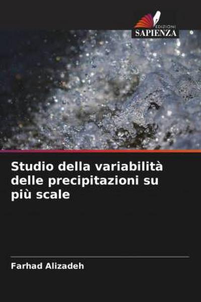 Studio della variabilità delle precipitazioni su più scale