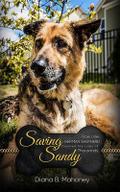 Saving Sandy
