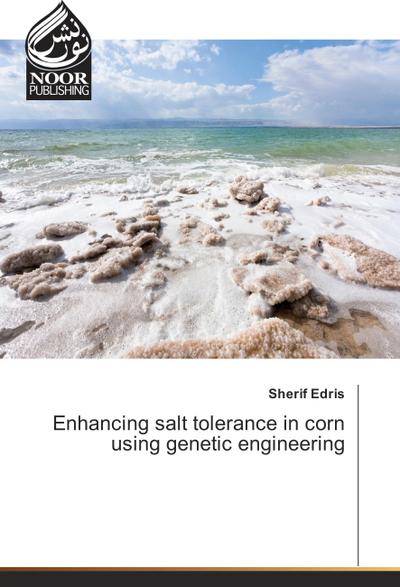 Enhancing salt tolerance in corn using genetic engineering