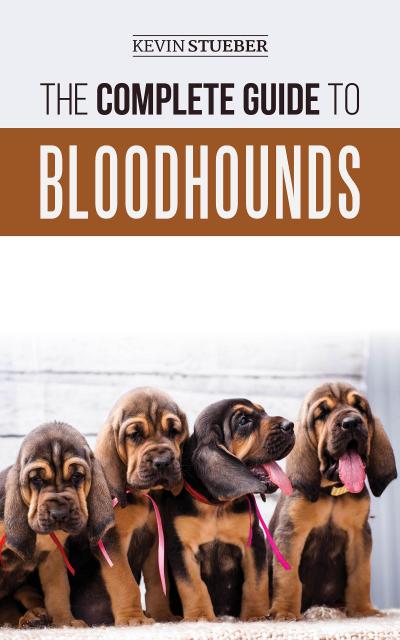 The Complete Guide to Bloodhounds