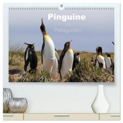 Pinguine in Patagonien (hochwertiger Premium Wandkalender 2026 DIN A2 quer), Kunstdruck in Hochglanz