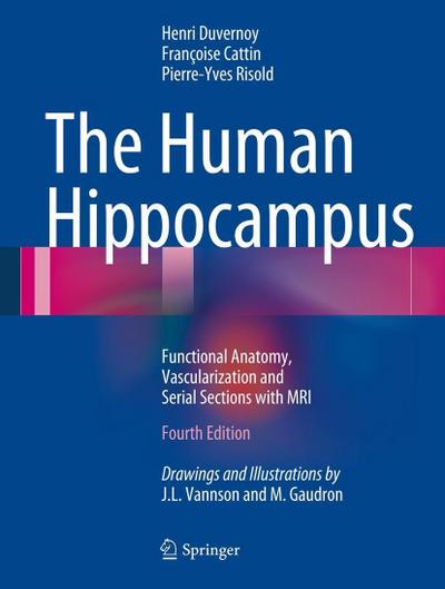 The Human Hippocampus