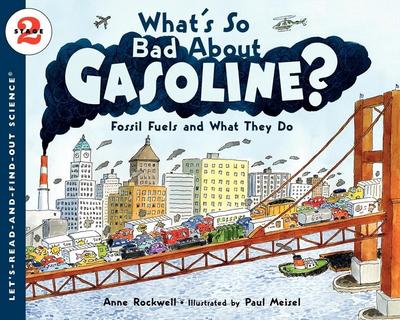 What’s So Bad about Gasoline?