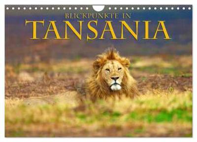 Blickpunkte Tansanias (Wandkalender 2026 DIN A4 quer), CALVENDO Monatskalender
