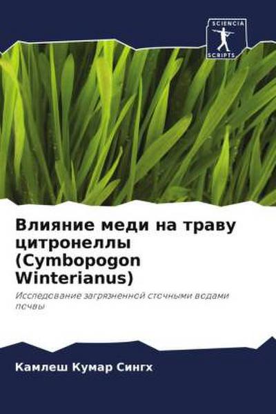 Vliqnie medi na trawu citronelly (Cymbopogon Winterianus)