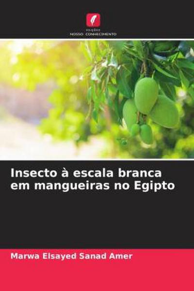 Insecto à escala branca em mangueiras no Egipto
