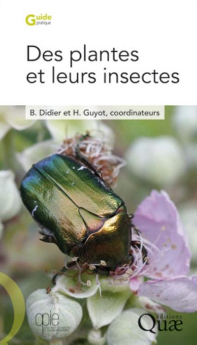 Des plantes et leurs insectes