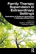 Family Therapy Supervision in Extraordinary Settings