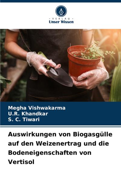 Auswirkungen von Biogasgülle auf den Weizenertrag und die Bodeneigenschaften von Vertisol