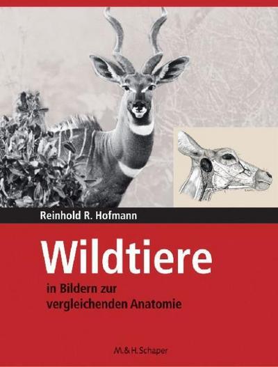 Wildtiere in Bildern zur Vergleichenden Anatomie