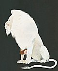 The Snow Lion
