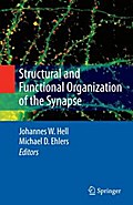 Structural and Functional Organization of the Synapse
